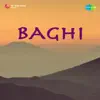 Shanti Kumar Desai - Baghi (Original Motion Picture Soundtrack) - EP